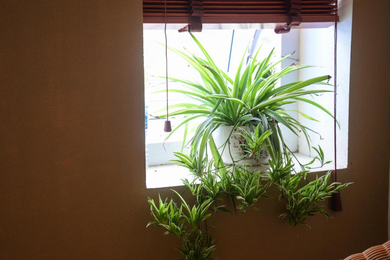 Ahoj Guest House Ha Long Dış mekan fotoğraf